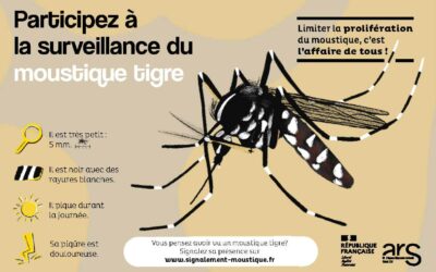 Campagne de Lutte contre le moustique tigre
