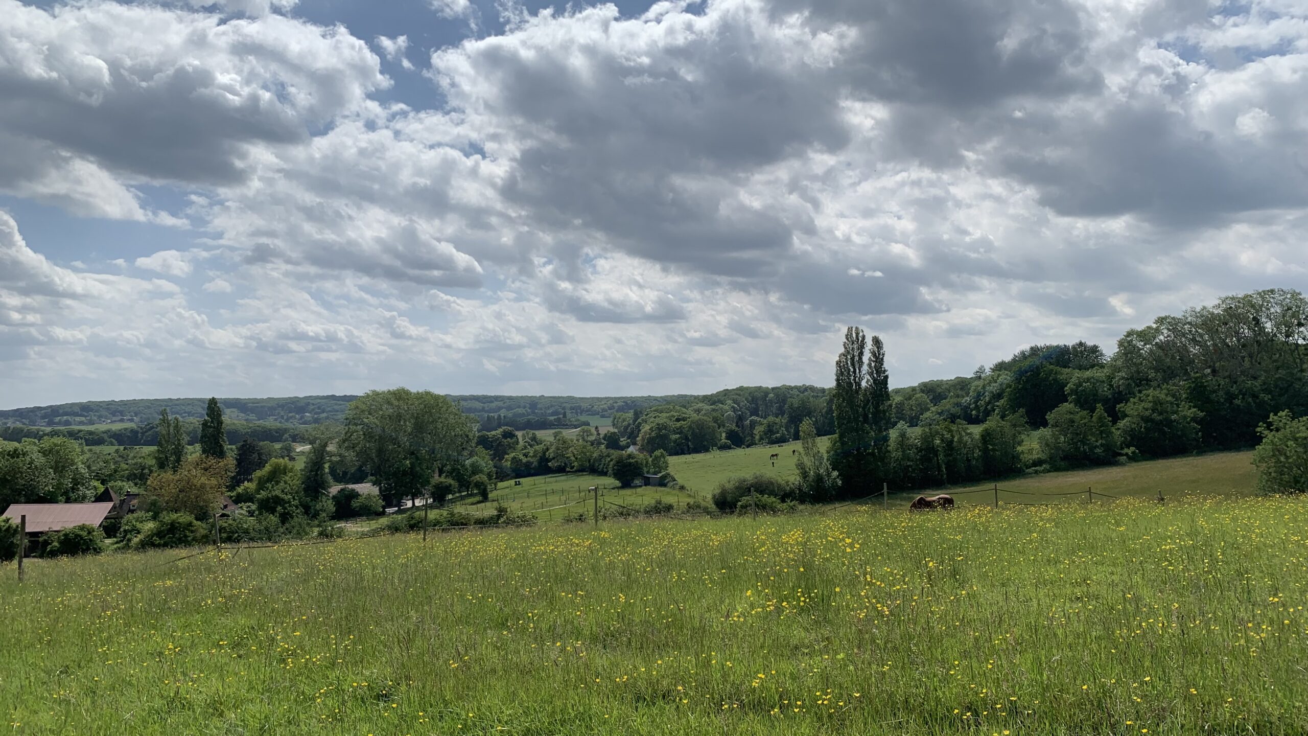 Photo 22-05-2025 15 53 35