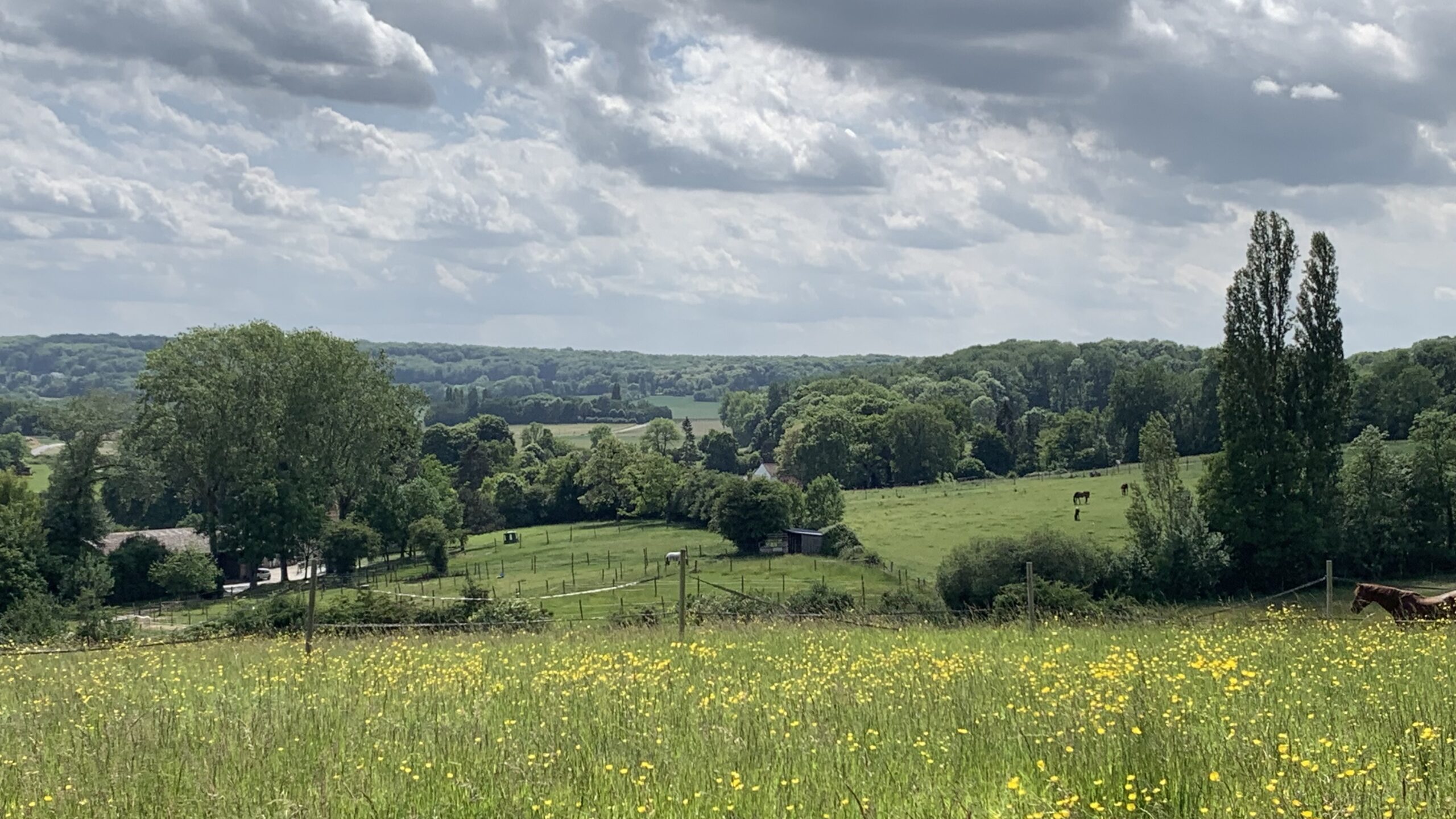 Photo 22-05-2025 15 53 40
