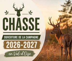 Ouverture de la chasse_campagne 2026-2027